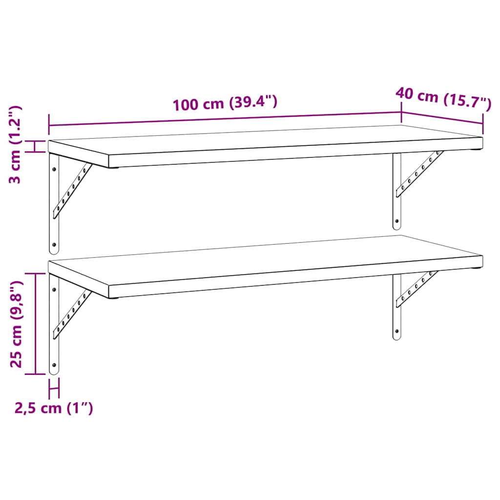 Mensole a Muro 2 pz 100x40 cm Argento in Acciaio Inossidabile