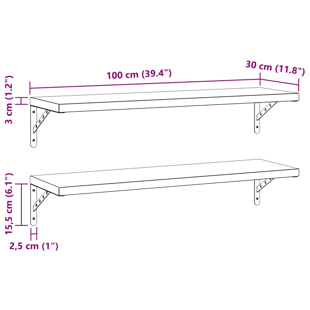 Mensole a Muro 2 pz 100x30 cm Argento in Acciaio Inossidabile