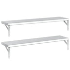Mensole a Muro 2 pz 100x23,5 cm Argento in Acciaio Inossidabile