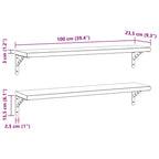 Mensole a Muro 2 pz 100x23,5 cm Argento in Acciaio Inossidabile