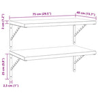 Mensole a Muro 2 pz 75x40 cm Argento in Acciaio Inossidabile