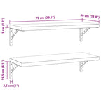Mensole a Muro 2 pz 75x30 cm Argento in Acciaio Inossidabile