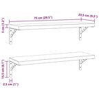 Mensole a Muro 2 pz 75x23,5 cm Argento in Acciaio Inossidabile