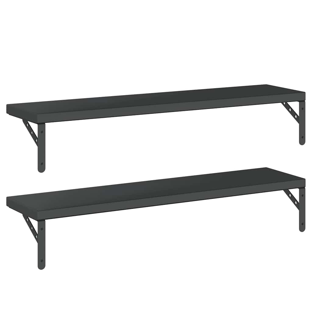 Mensole a Muro 2 pz 100x23,5 cm Nero in Acciaio Inossidabile