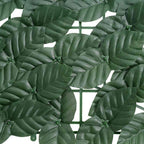 Paravento da Balcone con Foglie Verde Scuro 200x75 cm
