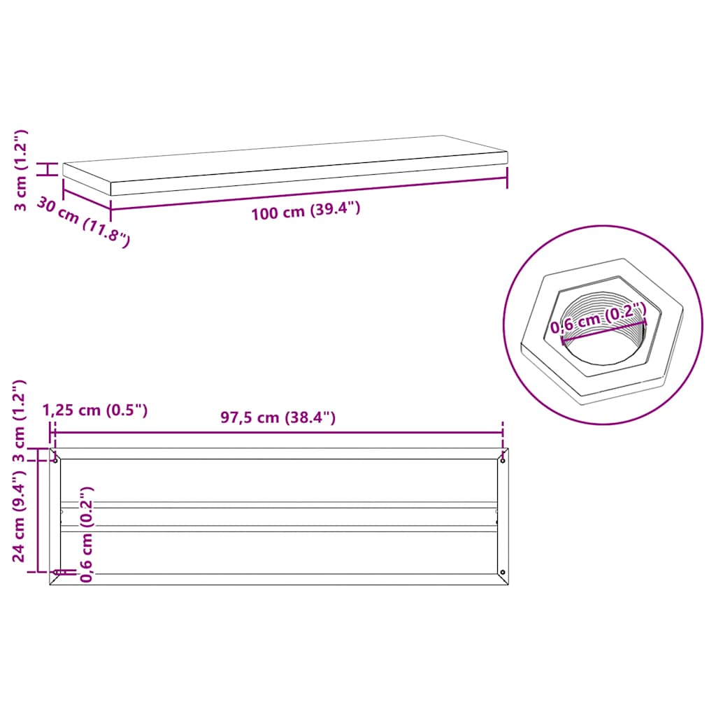 Mensole a Muro 2 pz 100x30 cm Argento in Acciaio Inossidabile