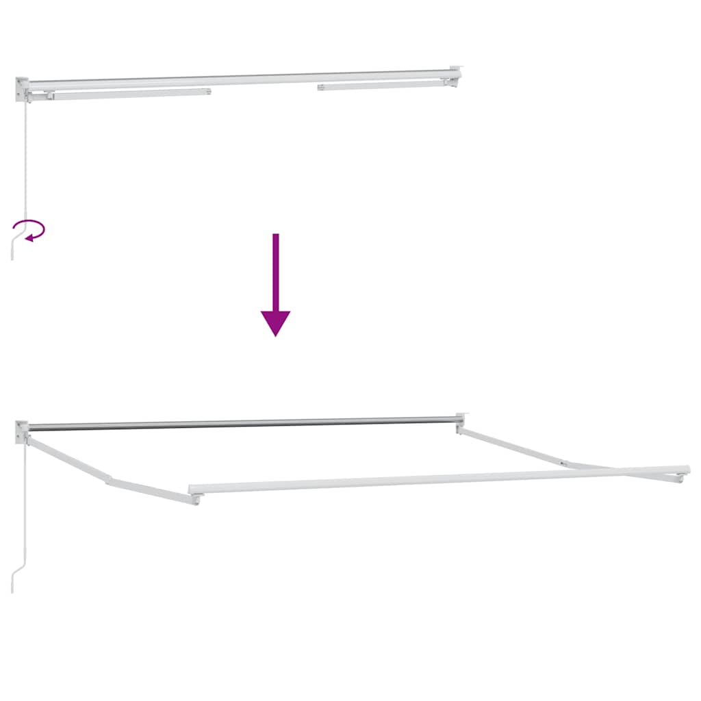 Tenda Sole Retrattile Manuale 300x250 cm Marrone