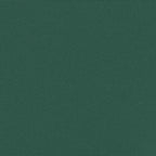 Tenda da Sole Laterale Retrattile Verde Scuro 100x300 cm