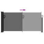 Tenda da sole laterale retrattile antracite 100x300 cm