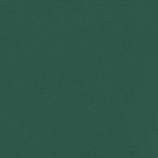 Tenda da Sole Laterale Retrattile Verde Scuro 180x300 cm