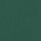 Tenda da Sole Laterale Retrattile Verde Scuro 220x300 cm