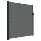 Tenda da sole laterale retrattile antracite 220x300 cm
