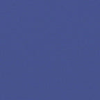 Tenda da Sole Laterale Retrattile Blu 120x600 cm