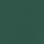Tenda da Sole Laterale Retrattile Verde Scuro 120x600 cm