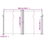 Tenda da Sole Laterale Retrattile Antracite 220x600 cm