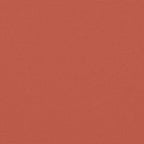 Tenda da Sole Laterale Retrattile Terracotta 220x1200 cm