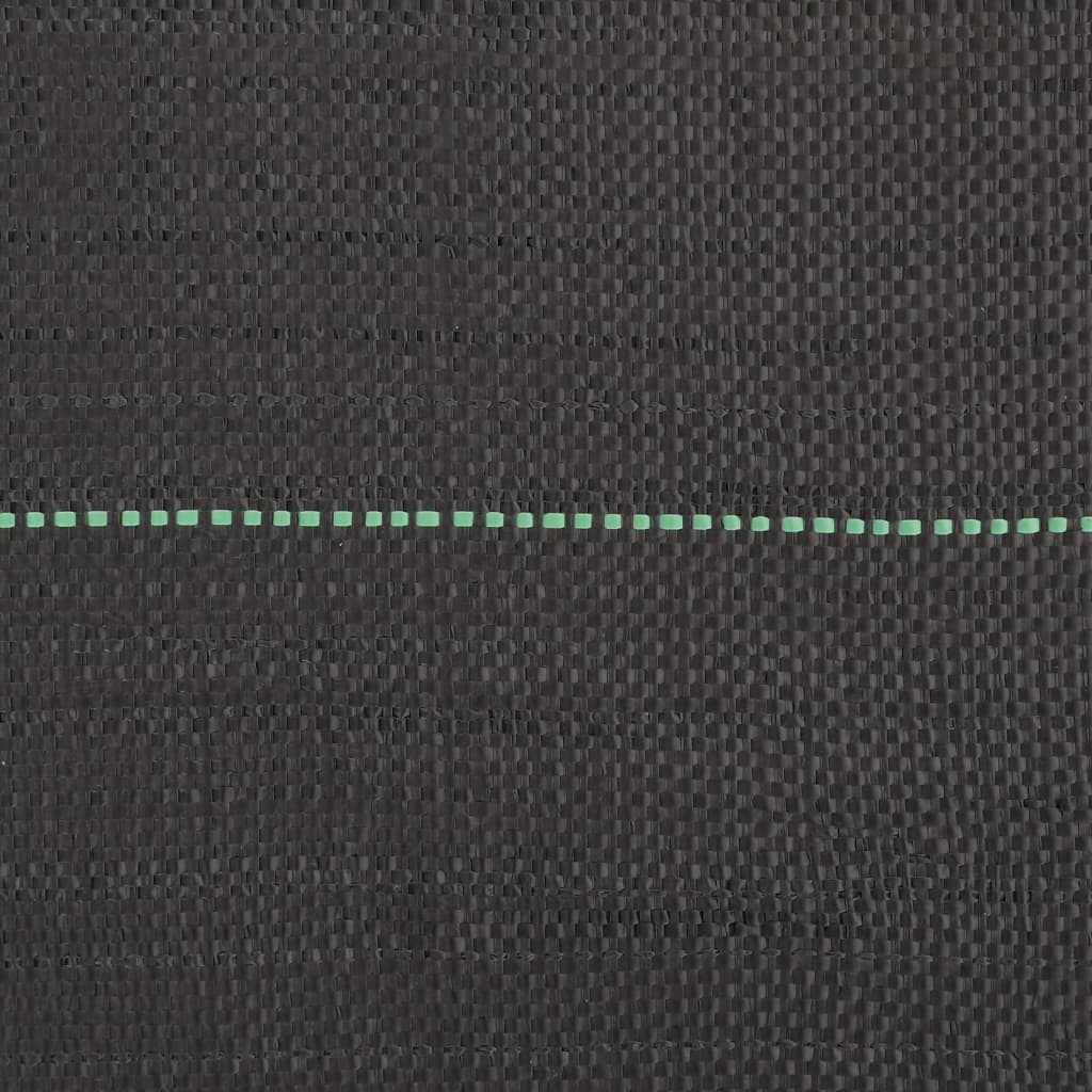Membrana Antierbacce Nera 1,5x25 m in PP