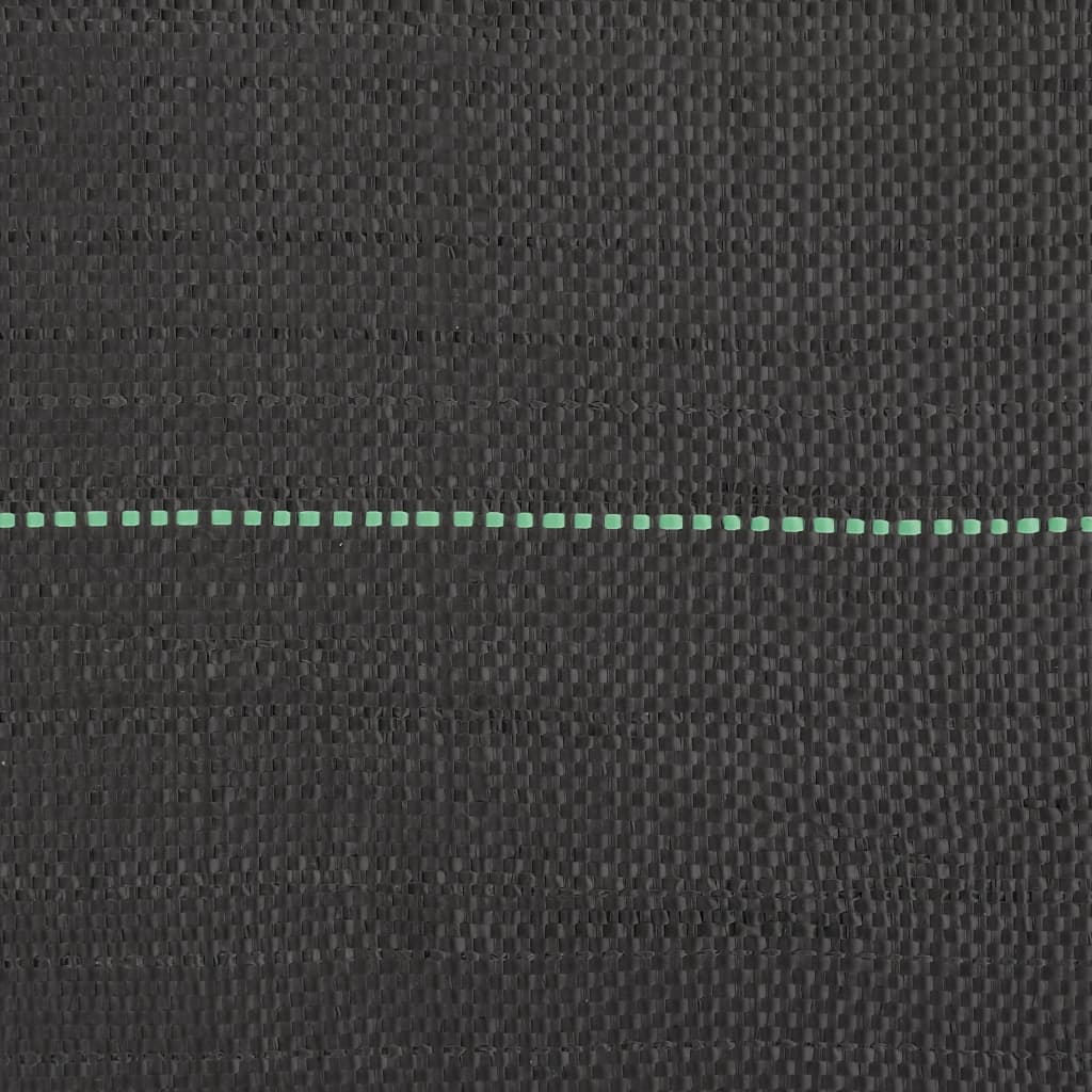 Membrana Antierbacce Nera 2x10 m in PP