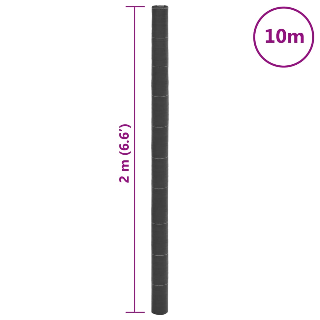 Membrana Antierbacce Nera 2x10 m in PP