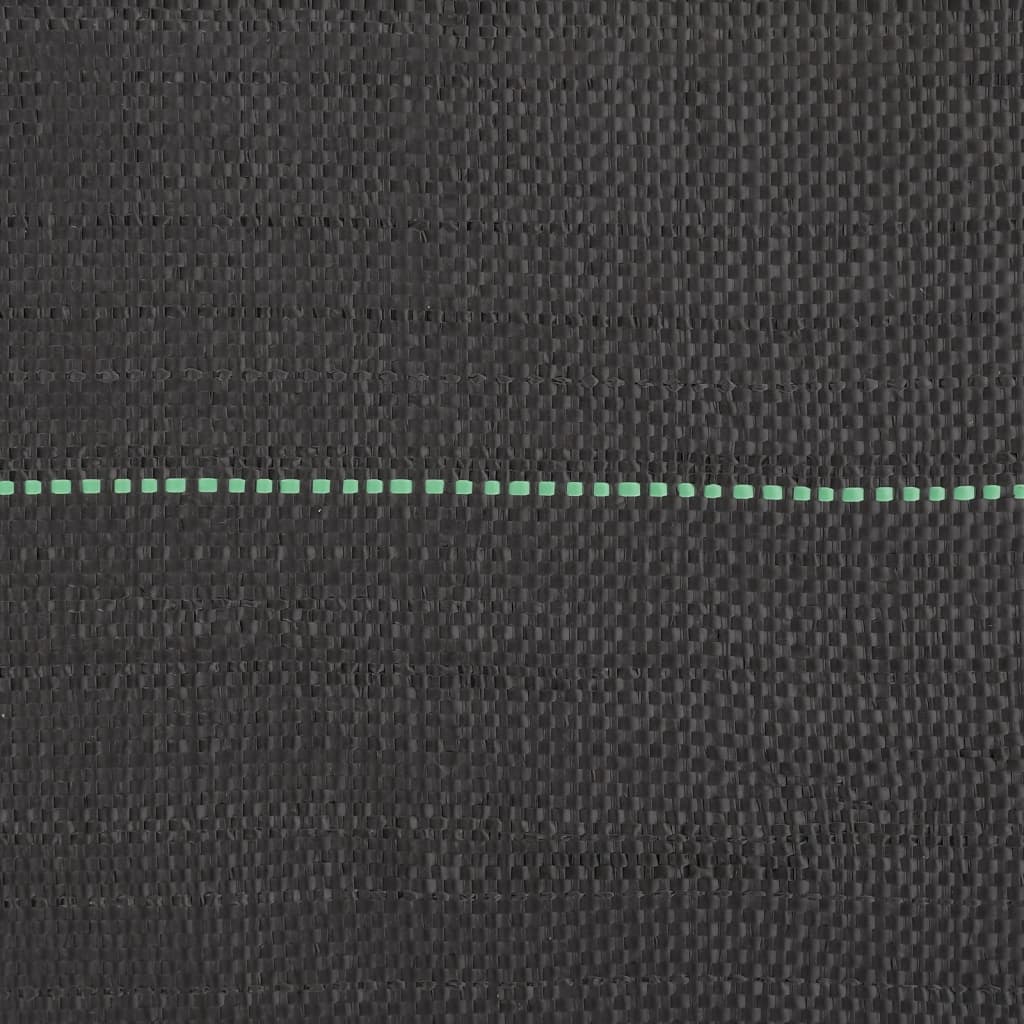Membrana Antierbacce Nera 2x50 m in PP