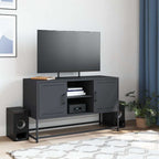 Mobile TV Antracite 100,5x39x60,5 cm in Acciaio