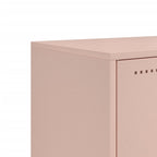 Mobile TV Rosa 100,5x39x43,5 cm in Acciaio