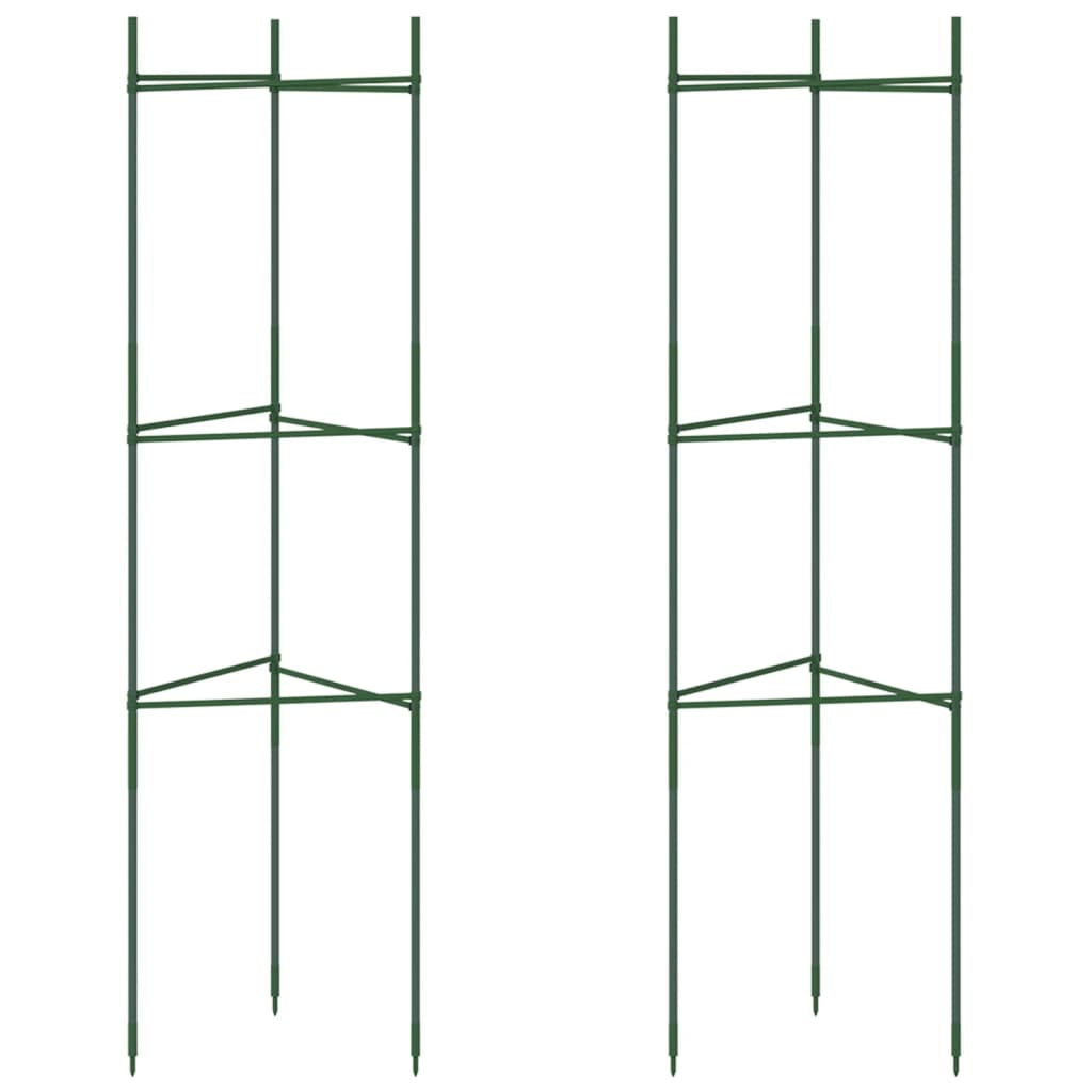 Sostegno per Pomodori 2pz 116 cm in Acciaio e PP