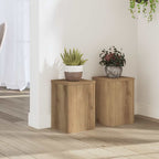 Supporti per Piante 2 pz Rovere 20x20x30 cm in Multistrato