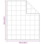 Piumone Bianco 240 x 220 cm Piuma