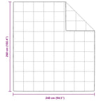 Piumone Bianco 240 x 260 cm Piuma