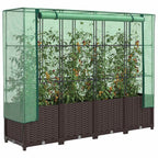 Letto Rialzato con Copertura Serra Effetto Rattan 160x40x138 cm