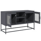Mobile TV Antracite 100,5x39x60,5 cm in Acciaio