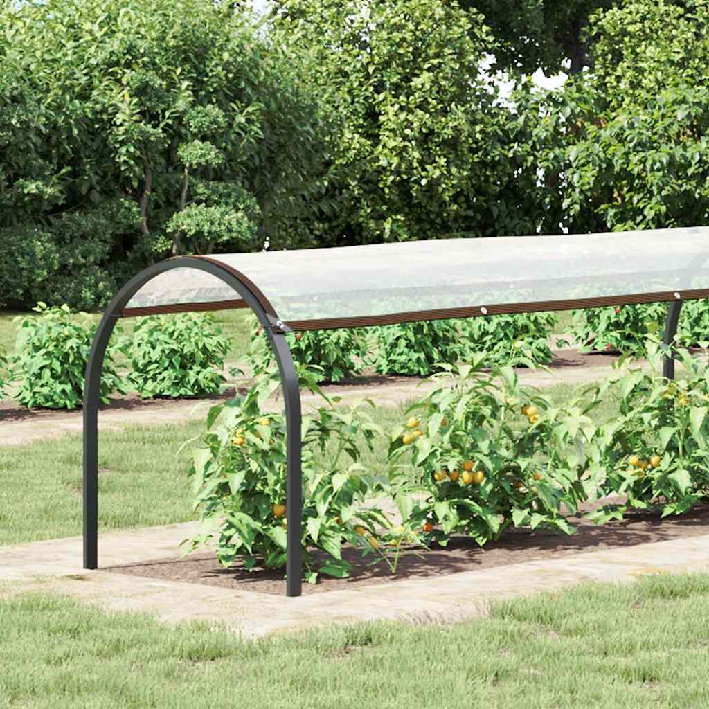 Copertura per Piante con Occhielli 1x8 m in Polietilene