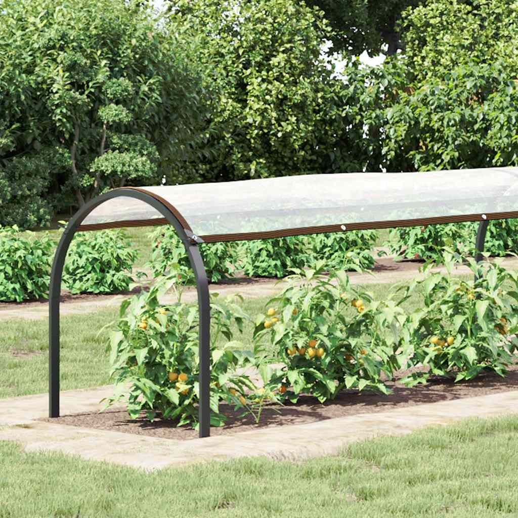 Copertura per Piante con Occhielli 1x10 m in Polietilene