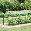 Copertura per Piante con Occhielli 1x6 m in PVC