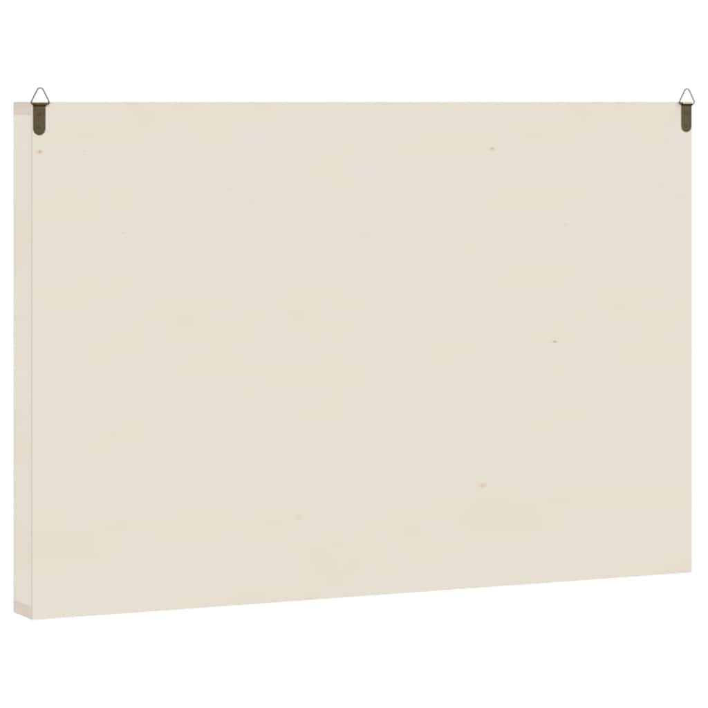 Vetrina da collezione in legno con 60 scomparti 60x4,5x40,5cm