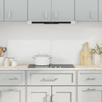 Paraschizzi per Cucina 2 pz Trasparente 70x40cm Vetro Temperato