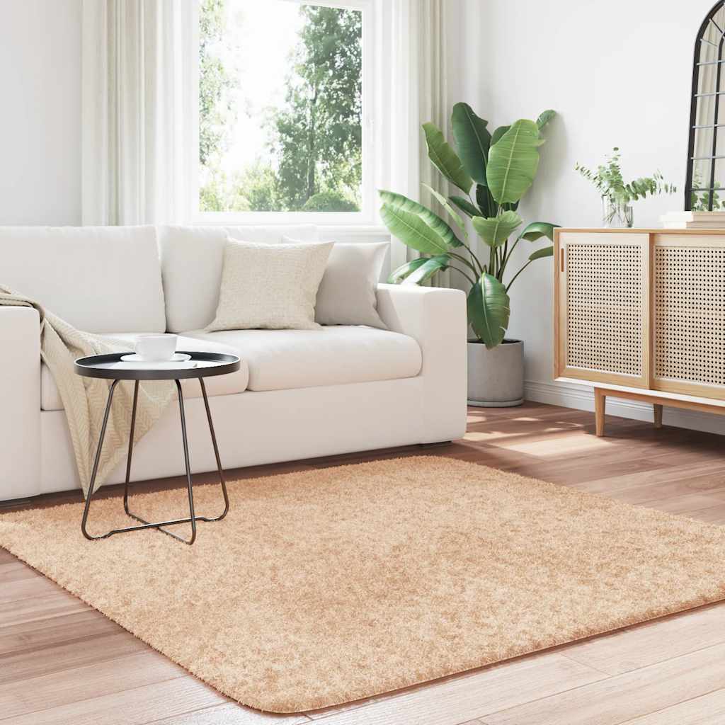 Tappeto Shaggy a Pelo Lungo NAVARRA Beige 160x160 cm poliestere