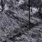 Tappeto Shaggy a Pelo Lungo NAVARRA Grigio Scuro 300x200 cm