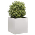 Fioriera 40x40x40 cm in Acciaio Inox