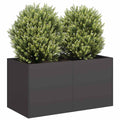 Fioriera Nera 80x40x40 cm in Acciaio Laminato a Freddo