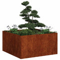 Fioriera Arrugginita 80x80x40 cm in Acciaio Corten