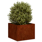 Fioriera Arrugginita 40x40x30 cm in Acciaio Corten