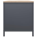 Rastrelliera Legna da Ardere con Piano Antracite 100x40x60 cm