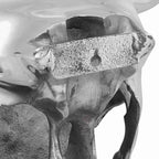Teschio di toro Argento 34 x 13 x 53 cm Alluminio