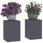 Supporto per piante 2 pcs Antracite 24 x 24 x 35 cm Acciaio