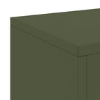Supporto per piante 2 pcs Oliver verde 24 x 24 x 35 cm Acciaio