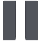 Supporto per piante 2 pcs Antracite 24 x 24 x 75 cm Acciaio