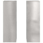 Supporto per piante 2 pcs Argento 24 x 24 x 75 cm