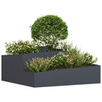 Vaso da giardino Antracite 100 x 100 x 50 cm